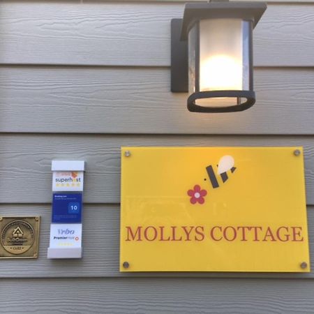 Mollys Cottage-The Suite On Vancouver Island Near Yyj Airport And The Wa And Bc Ferries North Saanich Dış mekan fotoğraf